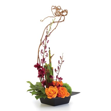 Harmony, Serenity & Style